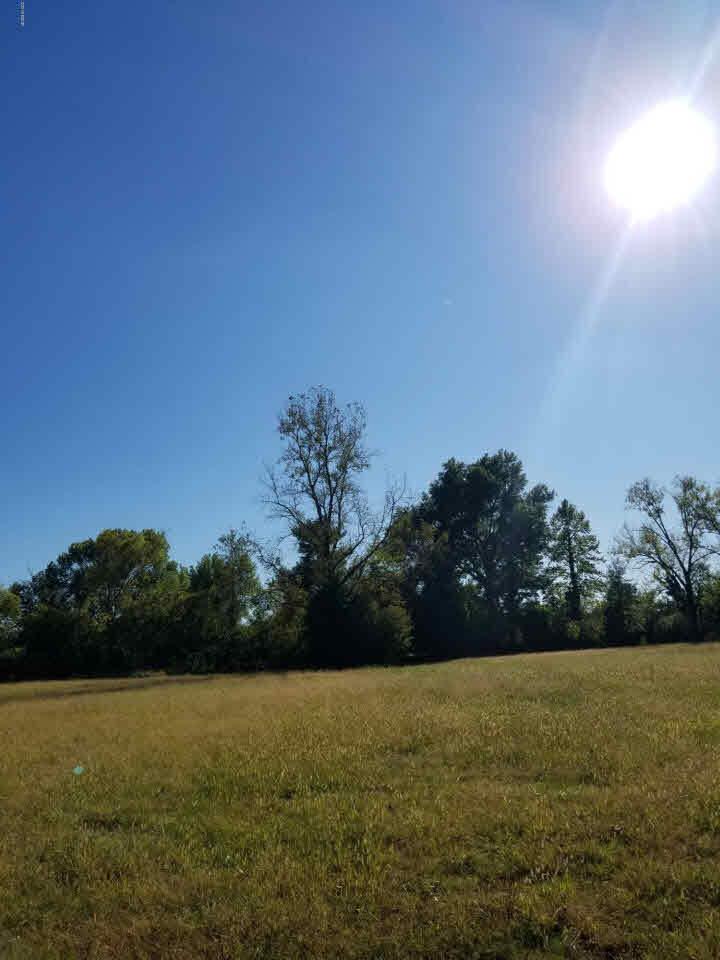 700 S Cedarview St., Carbondale, IL 62901