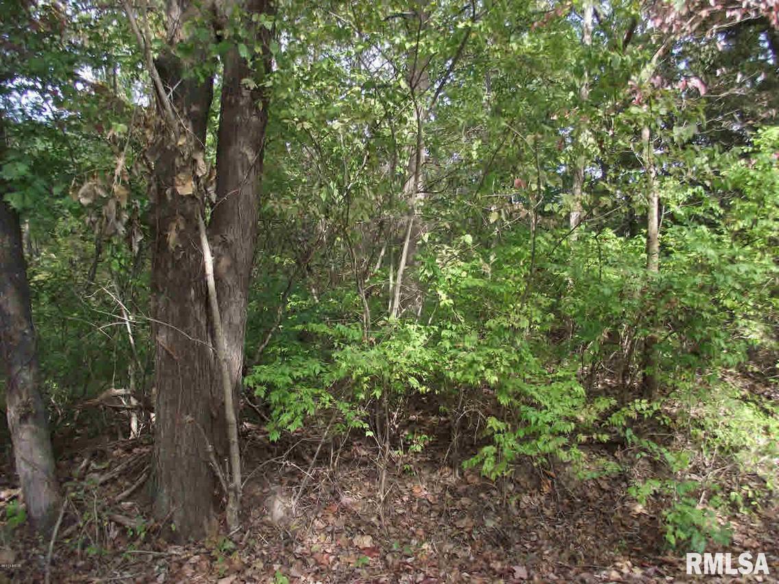 Xxxx Macedonia Rd., Pomona, IL 62975