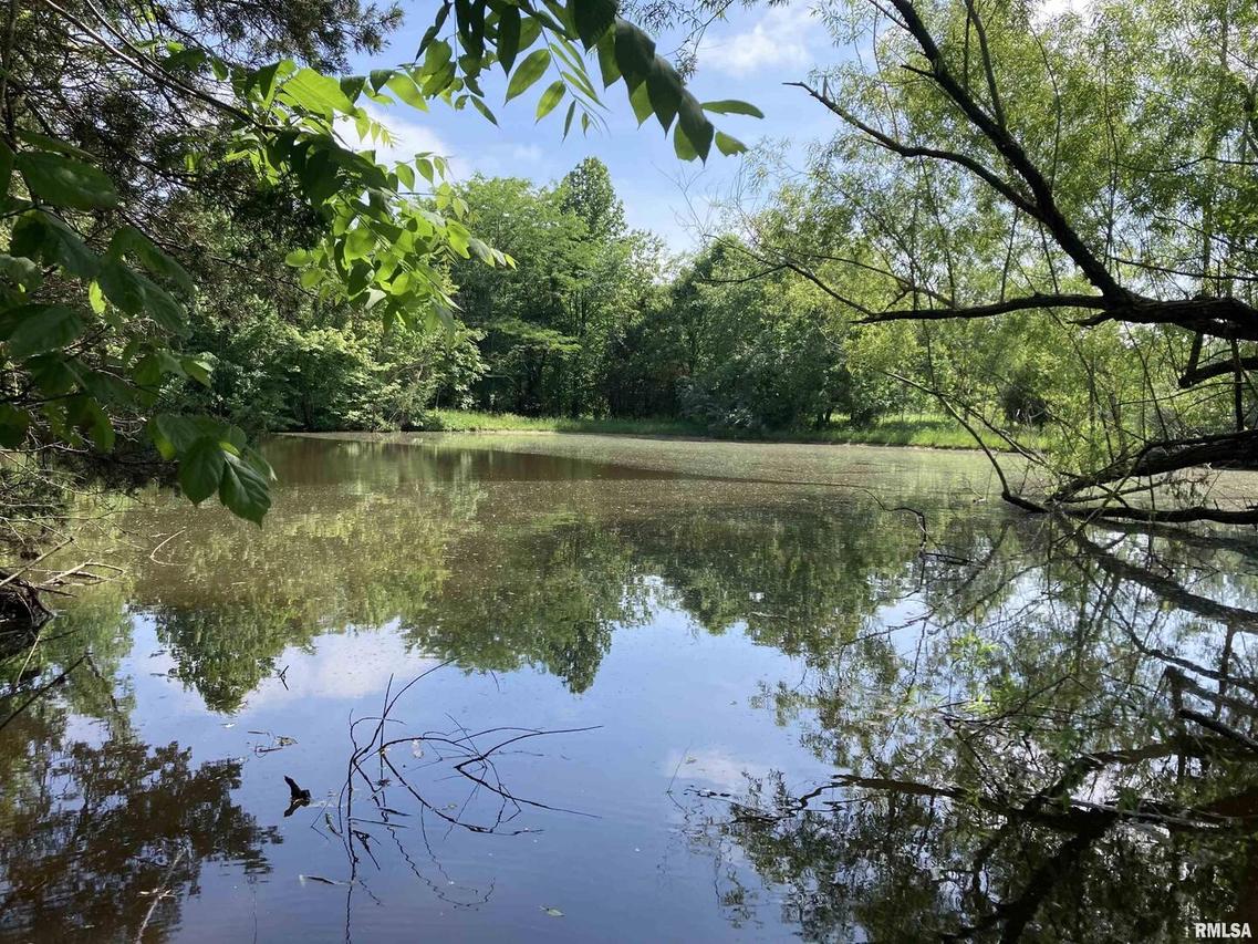 0000 Parrish Ridge Ln., Goreville, IL 62939