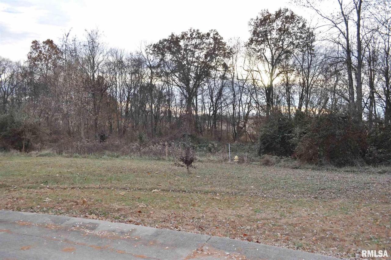 Lot 10 Country Meadows St., Mt Vernon, IL 62864