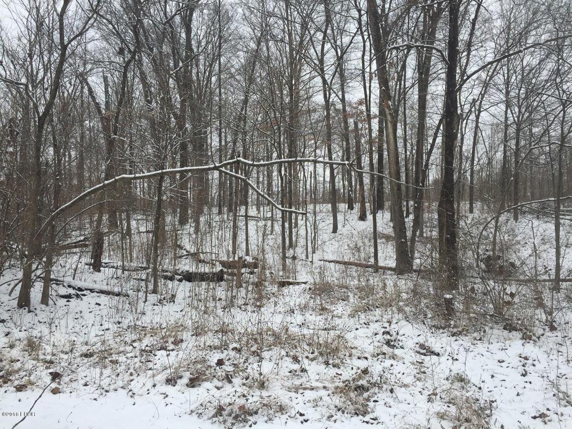 0000 Redbud Ln., Murphysboro, IL 62966