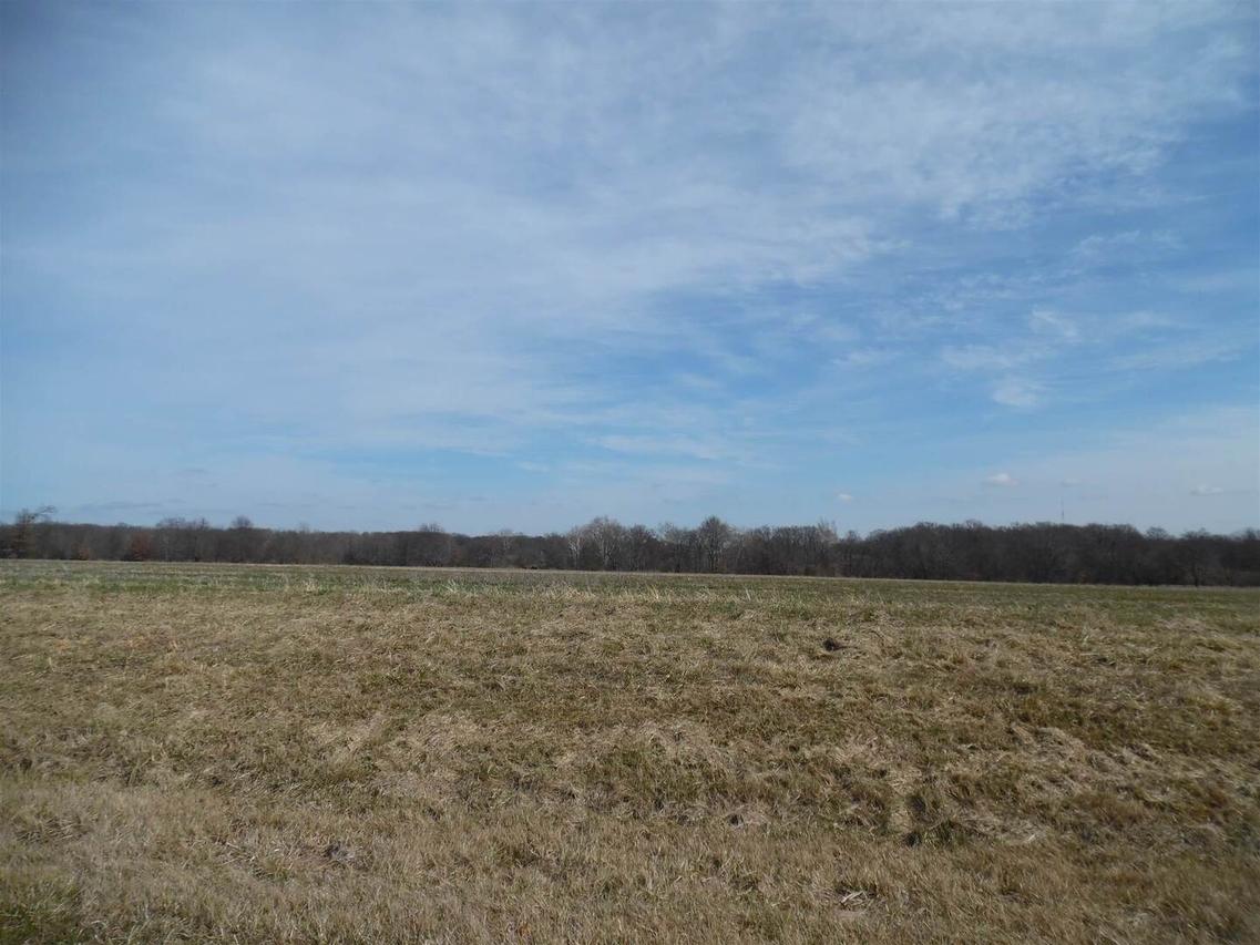 Tract 2 N Mcdermott Ln., Mt Vernon, IL 62864