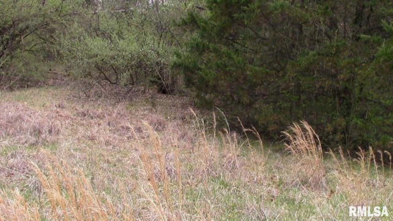 000 Us Hwy 45, Harrisburg, IL 62946