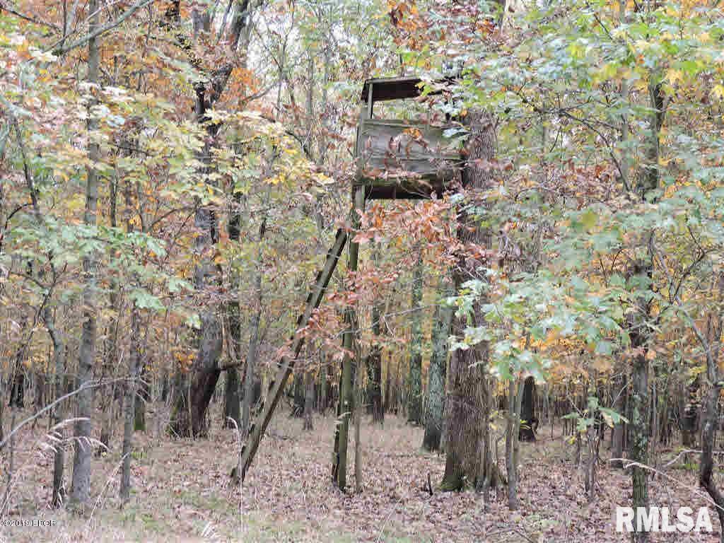 000 N Cherry St., Desoto, IL 62924