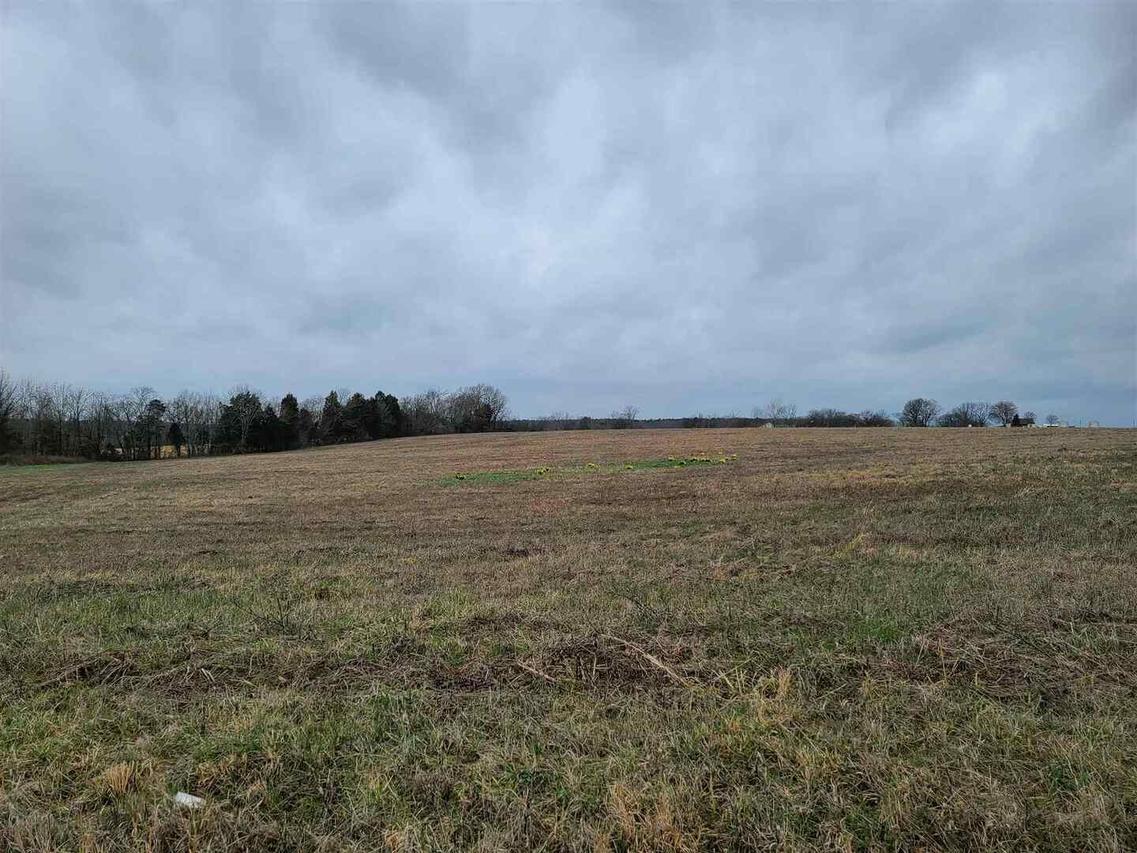 0000 Hazel Rd., Golconda, IL 62938