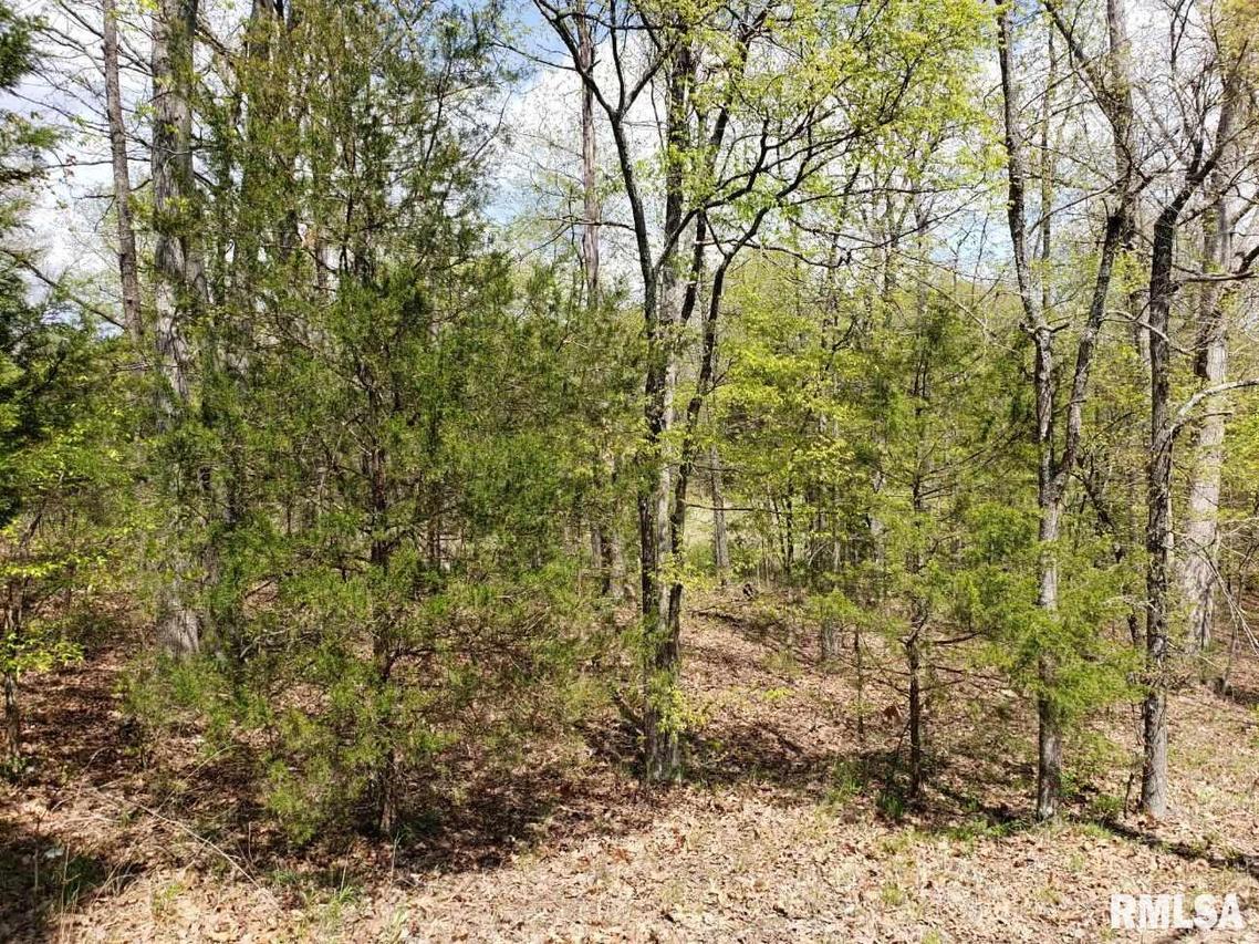 Lots 20 & 21 Indian Creek Dr., Goreville, IL 62939