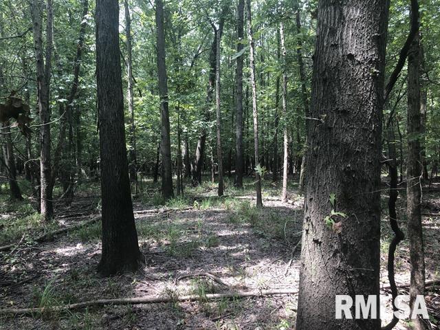 00 Yellow Banks Rd., Christopher, IL 62822