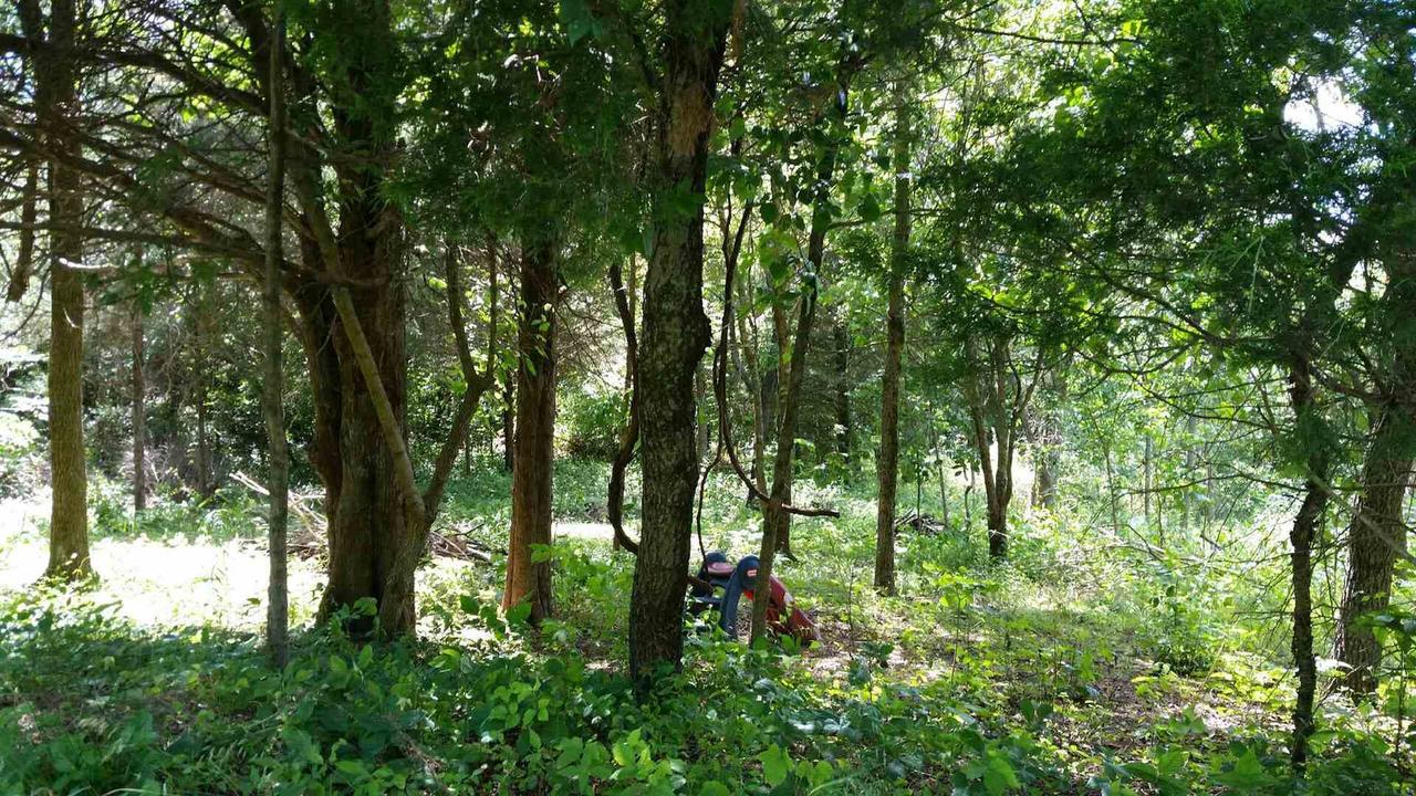 000 Sycamore St., Goreville, IL 62939