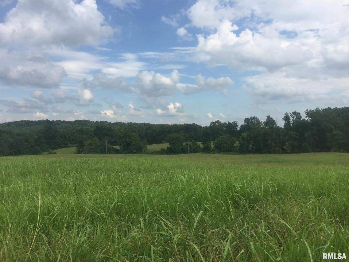 Winstead Ln., Cobden, IL 62920