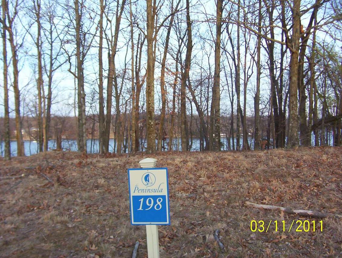 Lot 198 Parrish Ridge Rd., Goreville, IL 62939