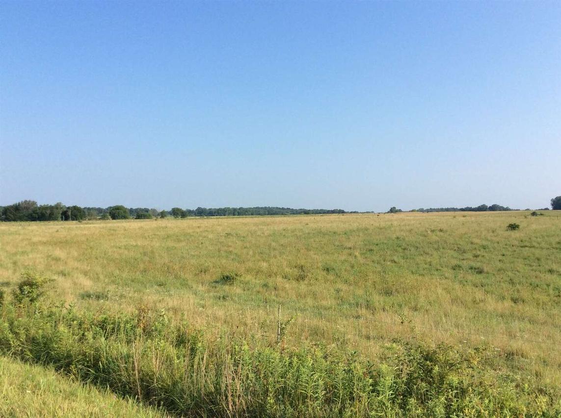 0000 Legion Ln., Bluford, IL 62814