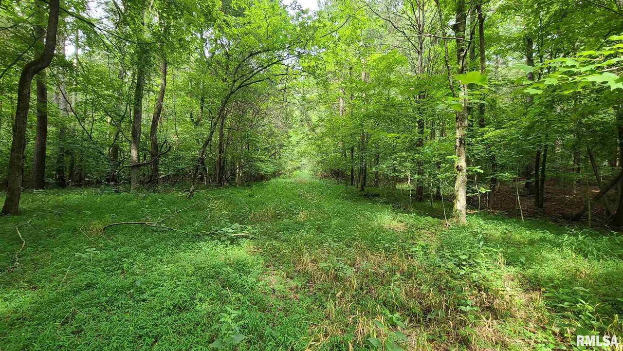 Ozark Rd., Simpson, IL