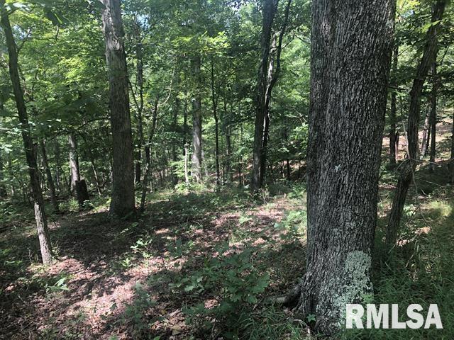 00 Apple Rd., Eddyville, IL 62928