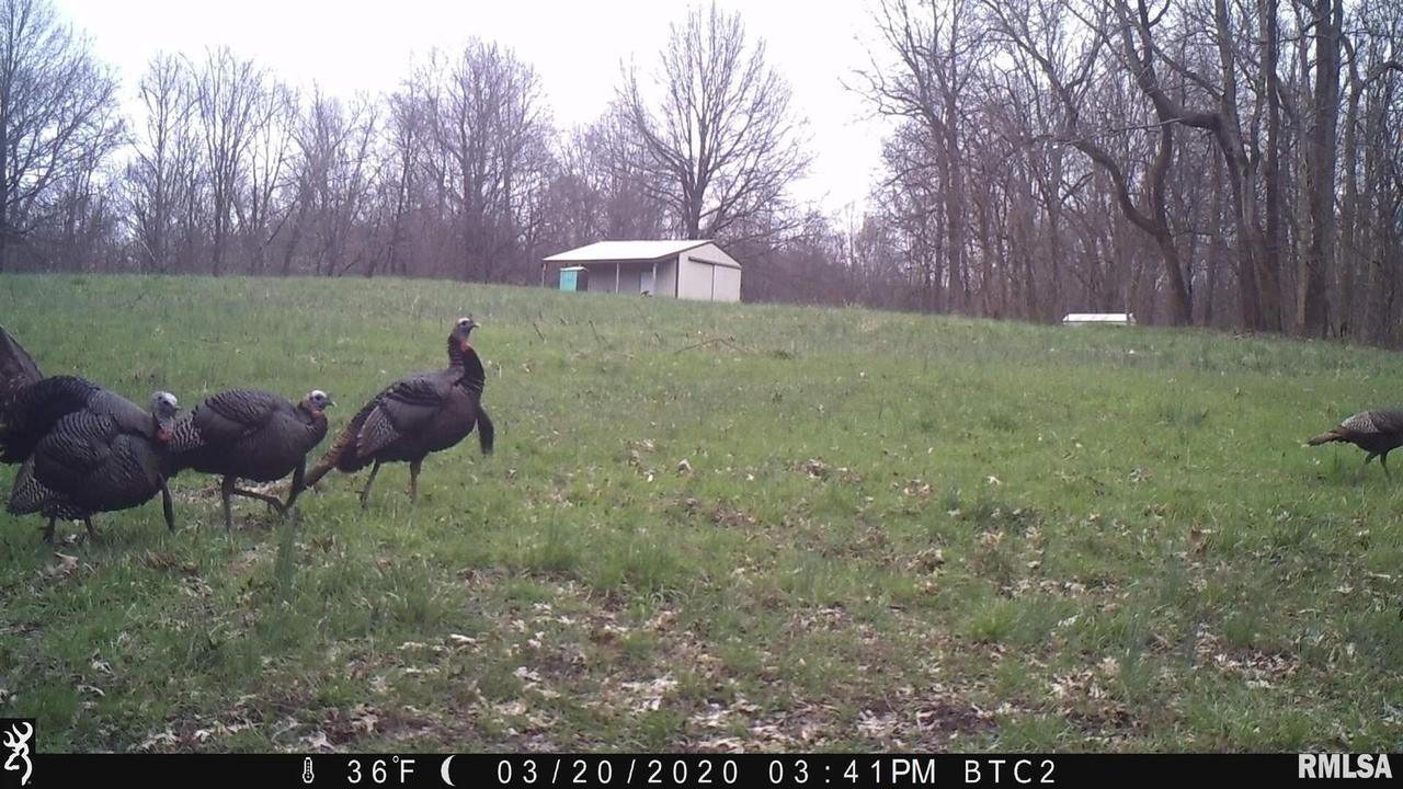 0000 Pierson Rd., Murphysboro, IL 62966