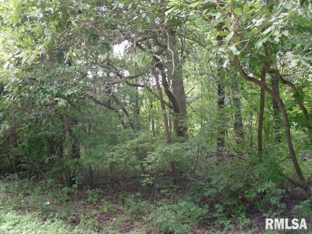 Levee & Lakeshore, Centralia, IL 62801