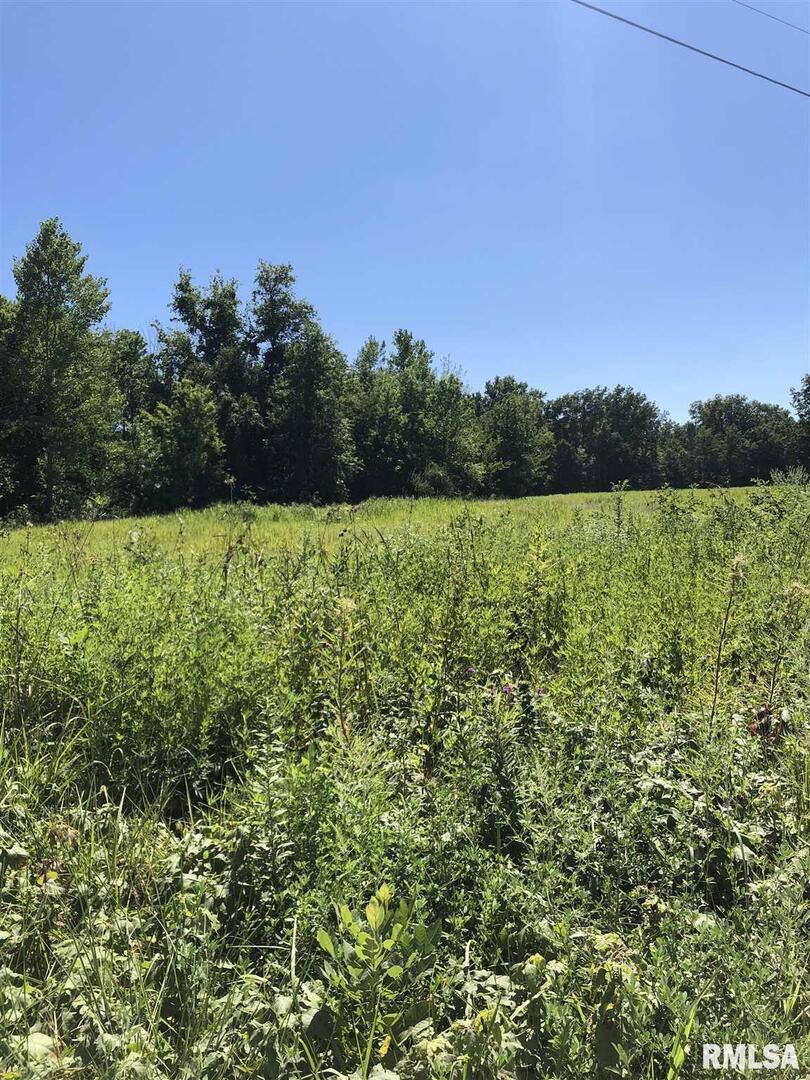 3167 E Mccoy Land, Salem, IL 62881