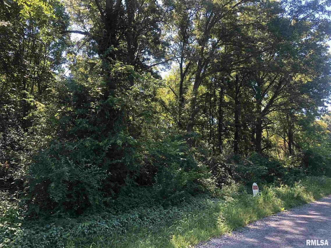 TBD County Road 2050 E, Fairfield, IL 62837