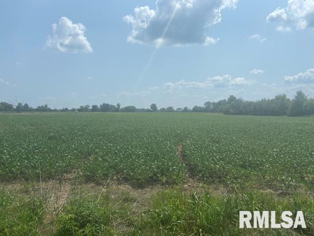 00000 Bowling Alley, Benton, IL 62812