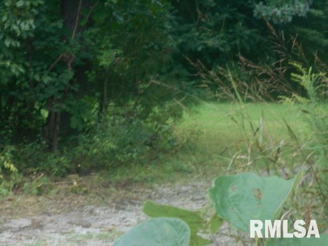 00 Eddyville Blacktop Blacktop, Golconda, IL 62938