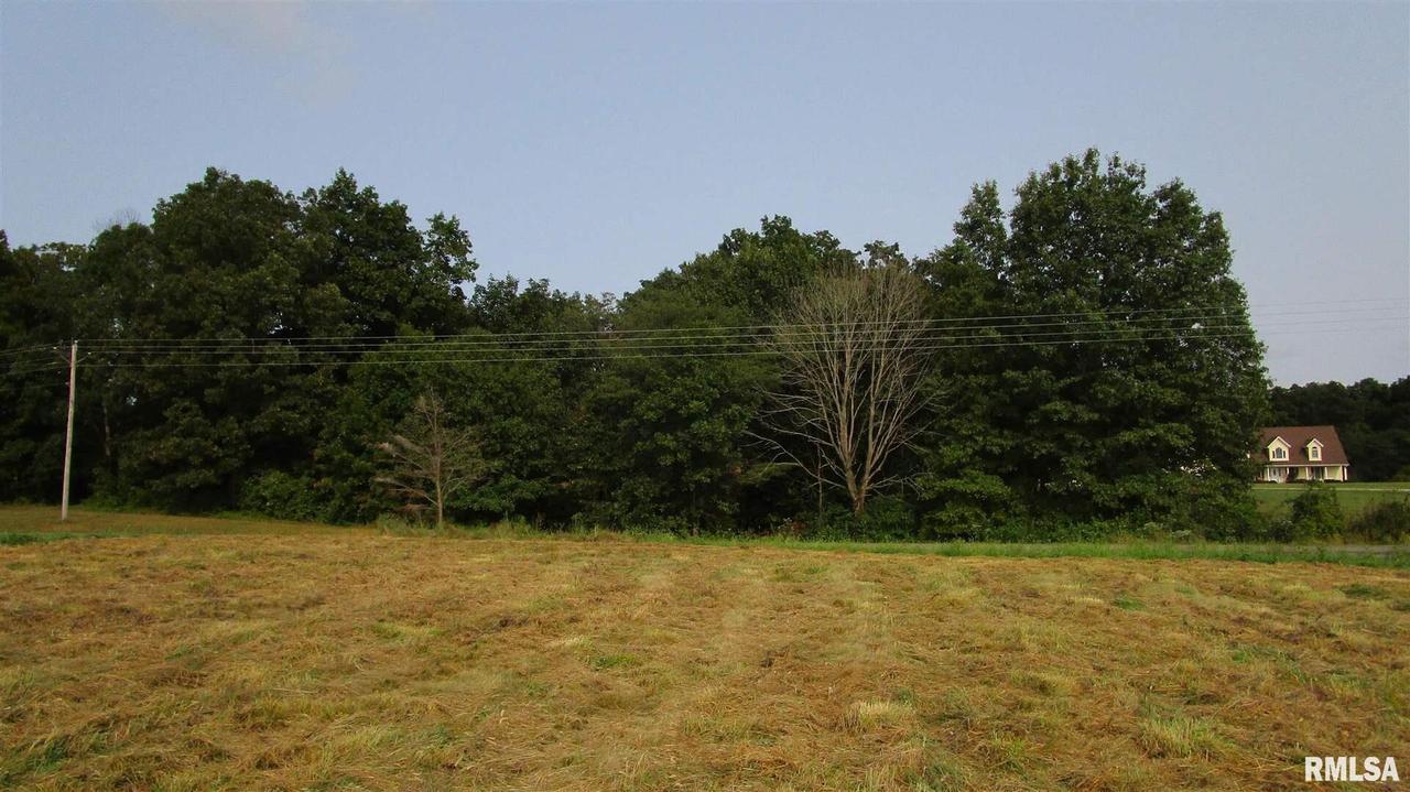 0000D Hanging Rock Rd., Flora, IL 62839