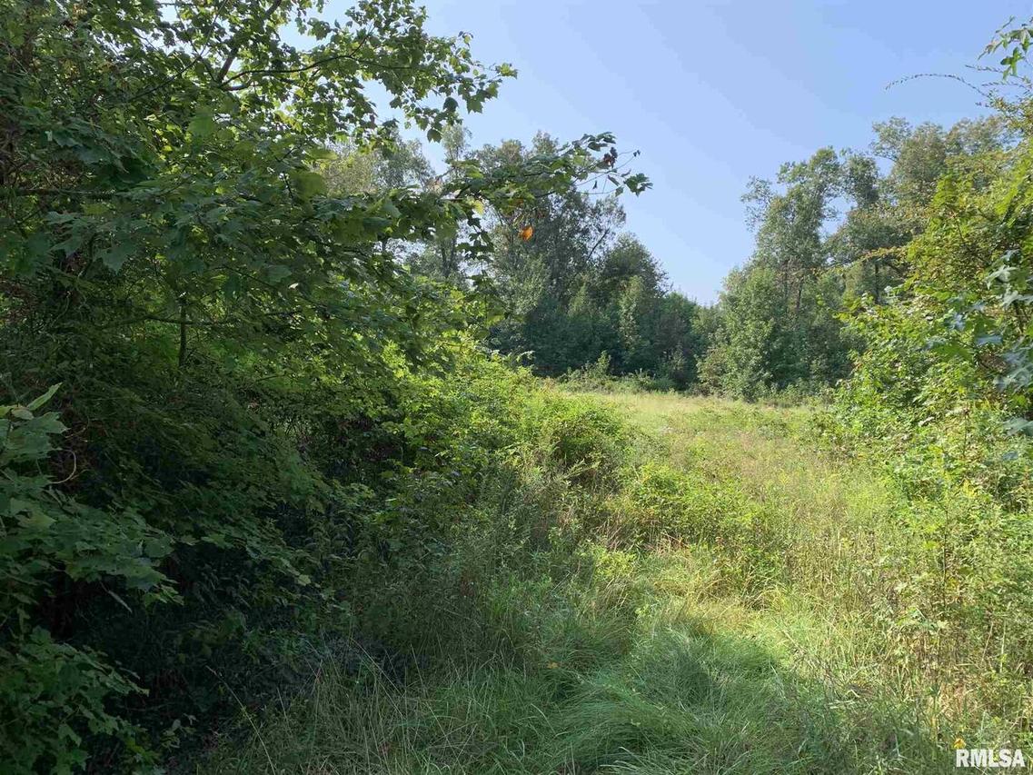 Carriage Ln., Metropolis, IL 62960