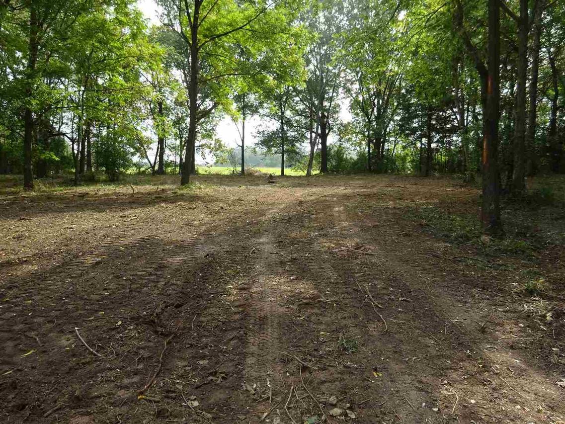 550 Bankston Church Rd., Harrisburg, IL 62946