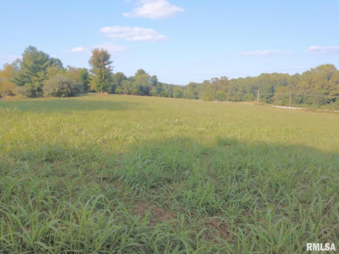 000 Skyview, Makanda, IL 62958