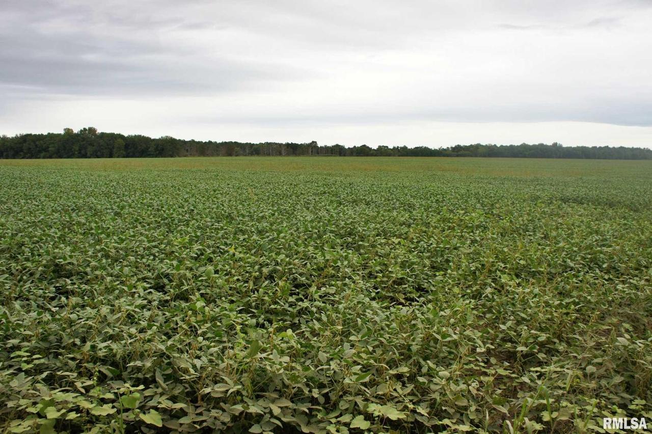 000 Loon Lake Rd., Brookport, IL 62910