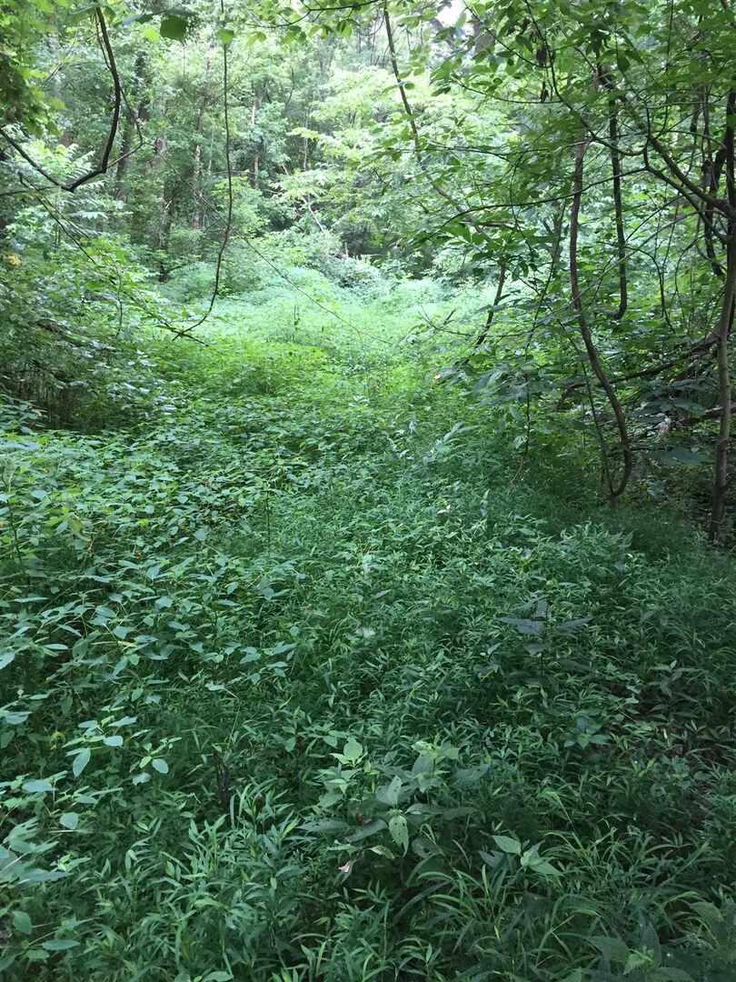 00 Riverview Dr., Thebes, IL 62990