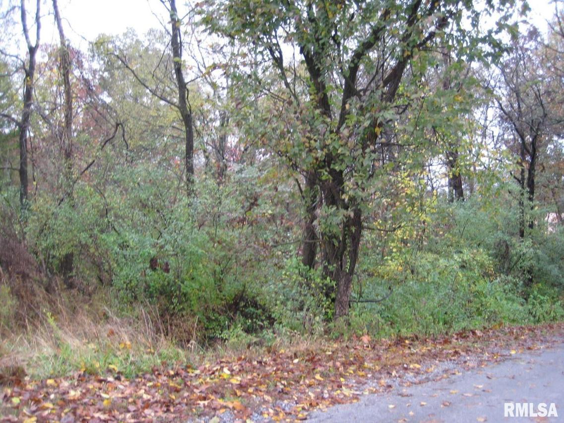 Lot 1039 & 1040 John Able Dr., Goreville, IL 62939
