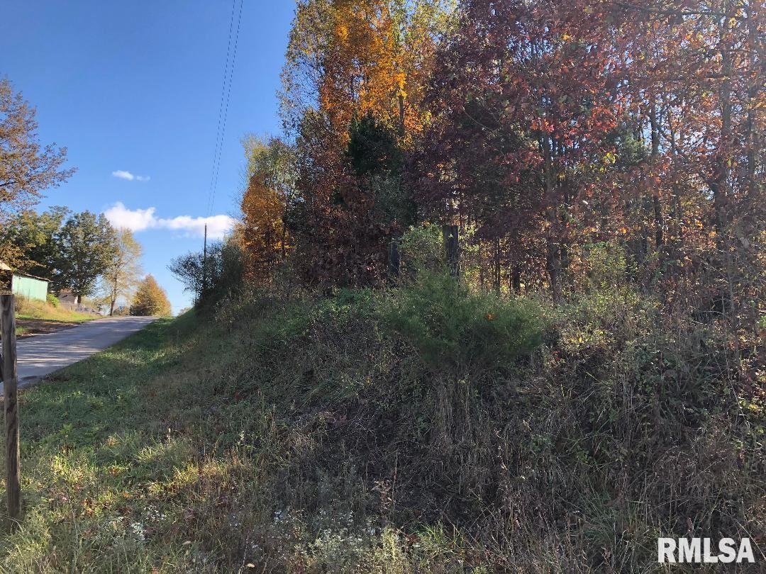 TBD Log Cabin, Johnston City, IL 62951