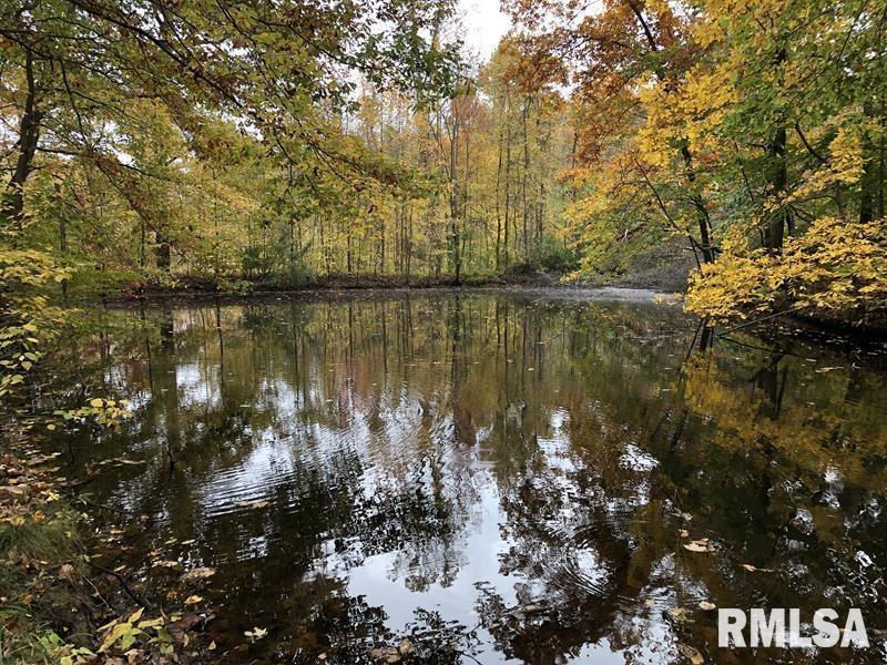 00 Brownsville Rd., Thebes, IL 62990