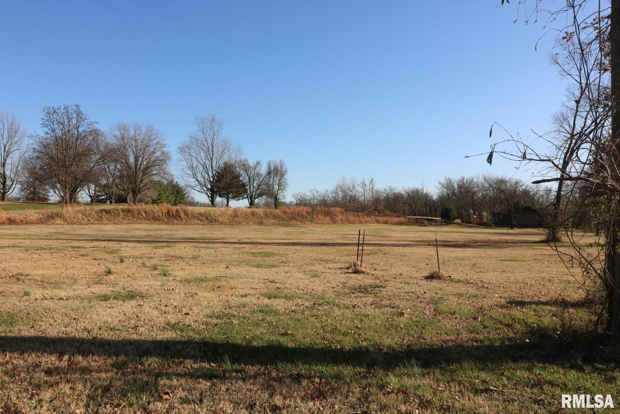 Lot 2 S Greenbriar Rd., Carterville, IL 62918