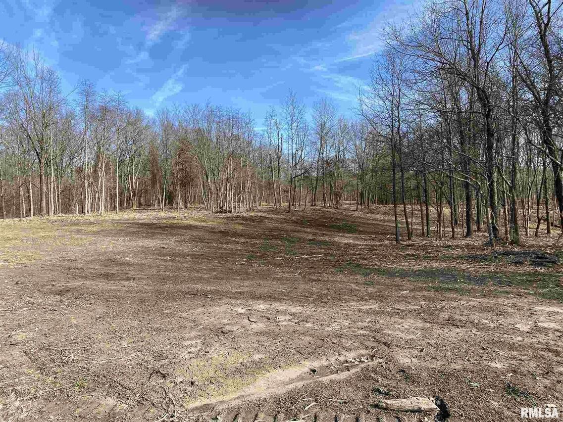 000 Snyder Rd., Walnut Hill, IL 62893