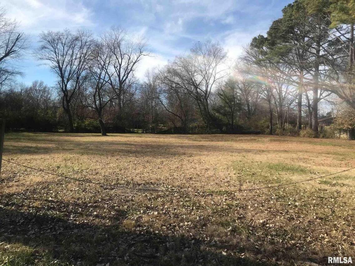 230 Hanseman St., Carbondale, IL 62901