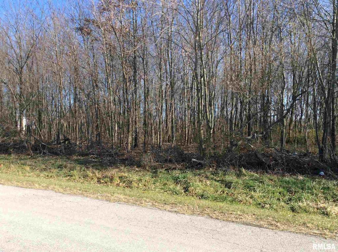 0000 N Blackhawk Ln., Mt Vernon, IL 62864