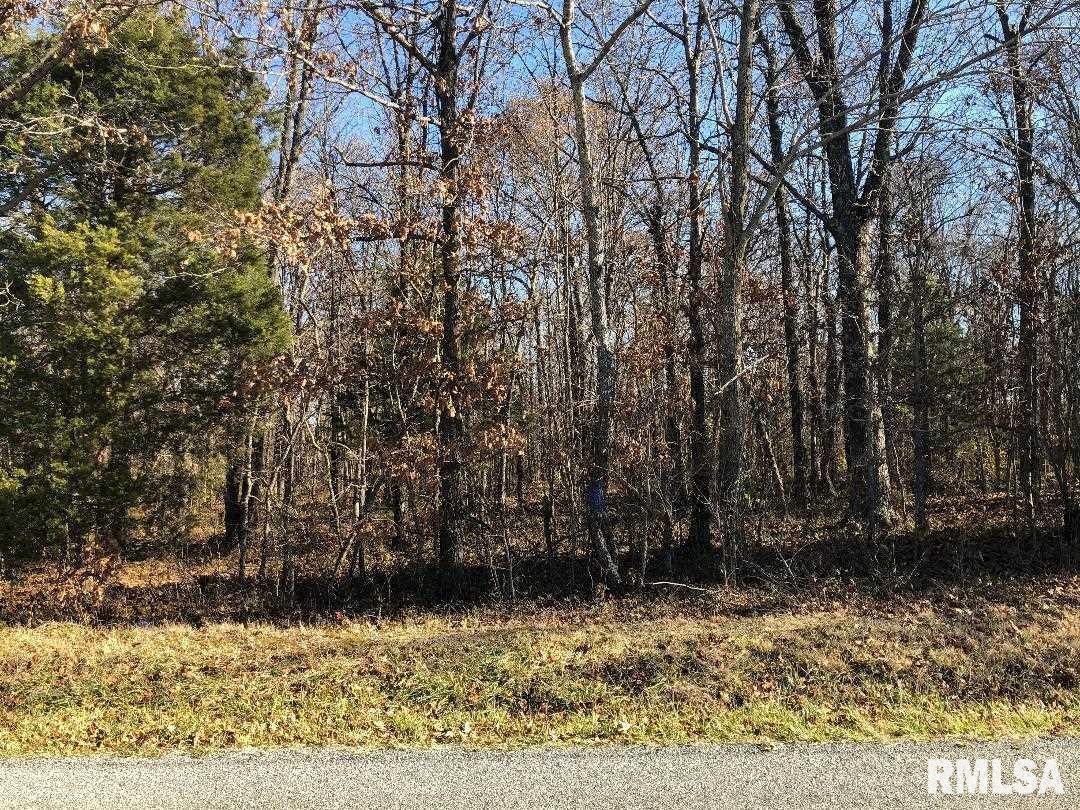 TBD Williams Prairie Rd., Johnston City, IL 62951