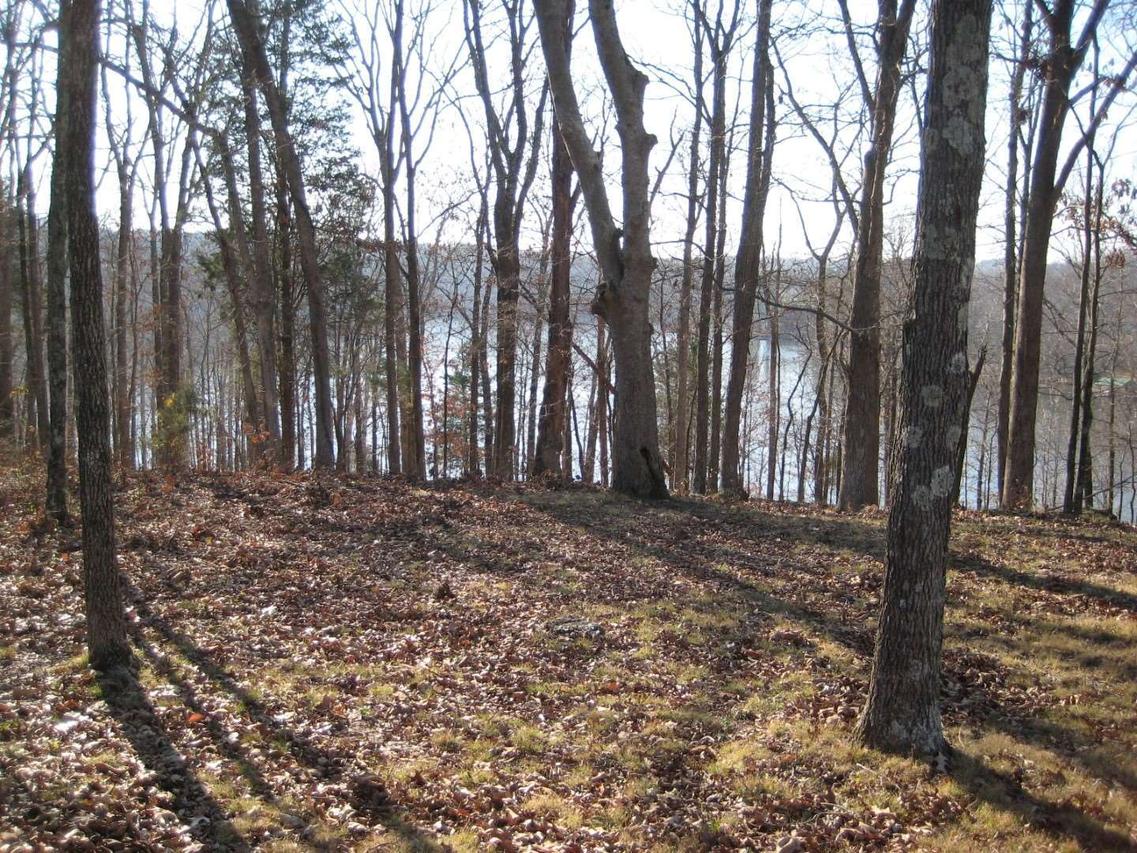 Lot 172 Parrish Ridge, Goreville, IL 62939