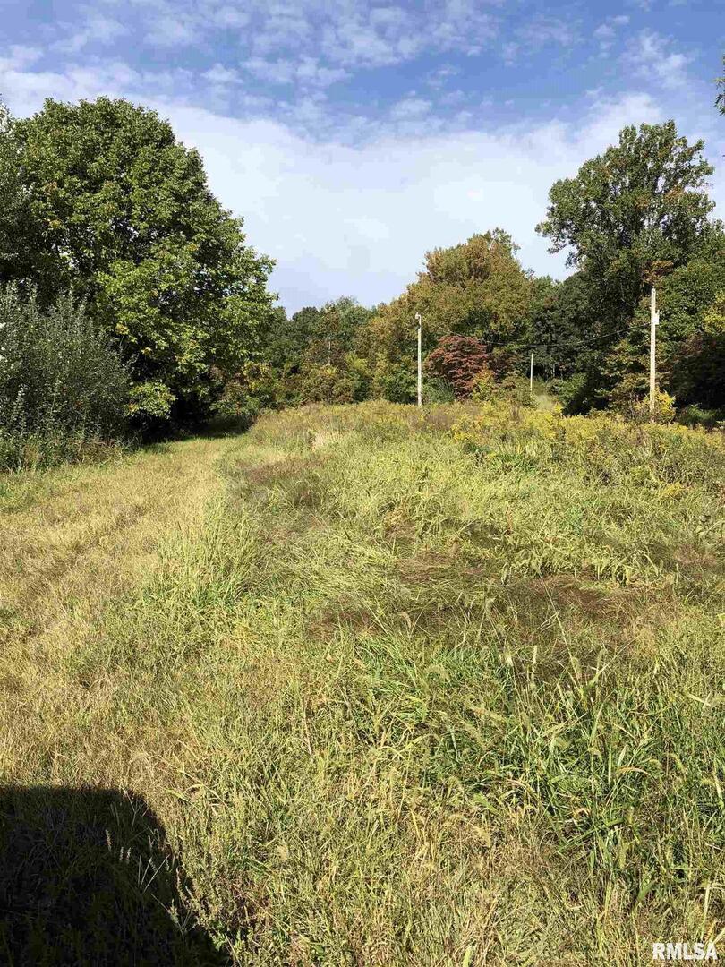 725 Bald Knob Rd., Alto Pass, IL 62920