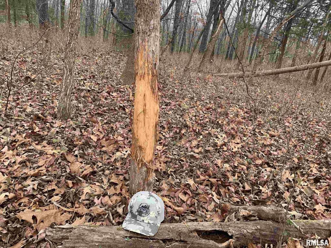 000 County Road 1575 Rd., Mcleansboro, IL 62859