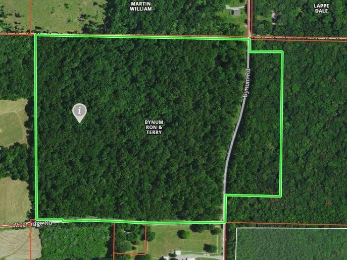 Bynum Rd., Stonefort, IL 62987