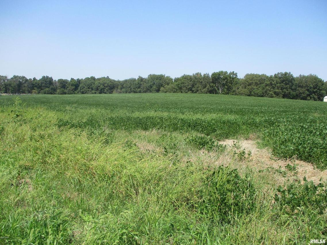 0000 S Jennette Ave., Buckner, IL 62812