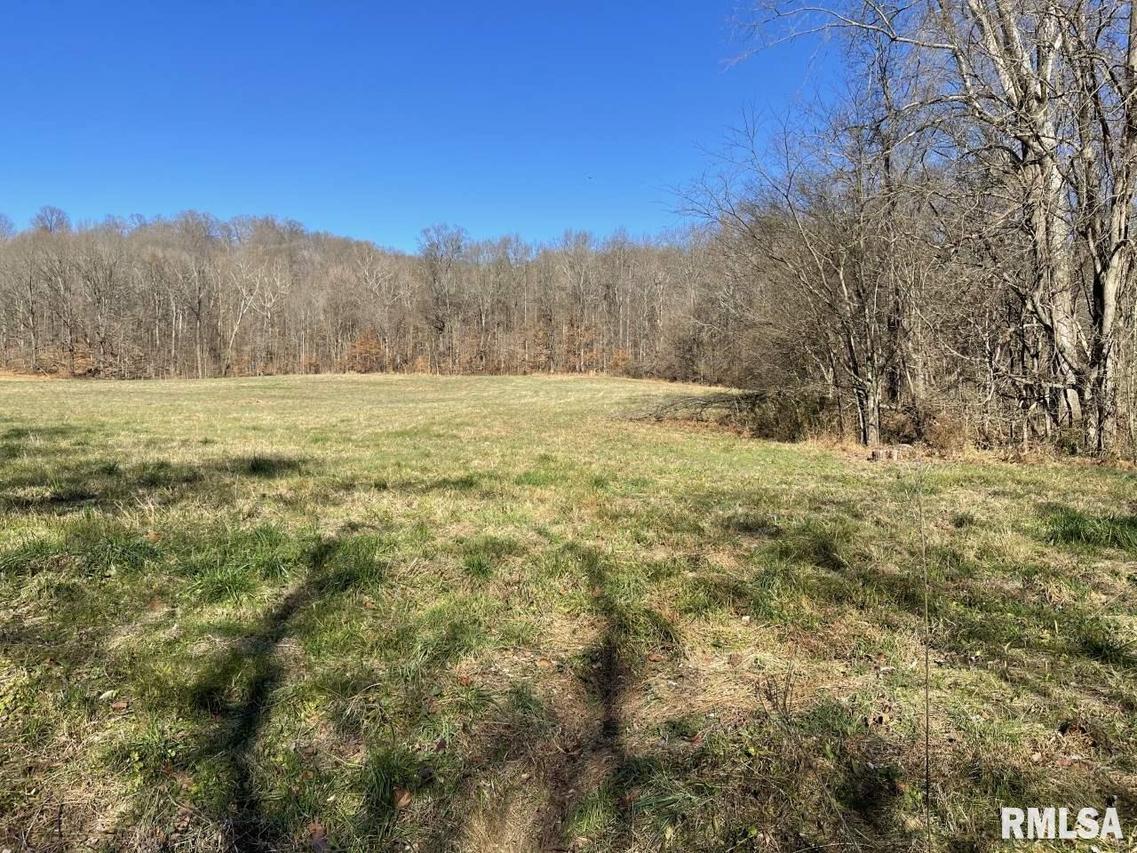 000 S Hutchinson Creek, Alto Pass, IL