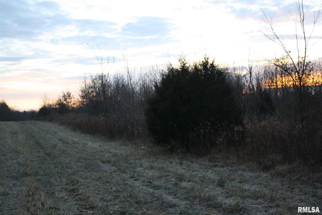 00 Lincoln Rd., Iuka, IL 62849