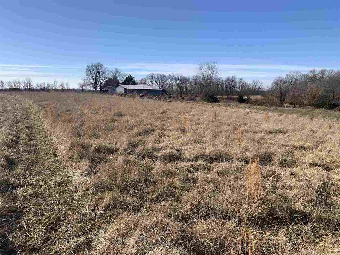 21132 E Pinecone Rd., Bluford, IL 62814