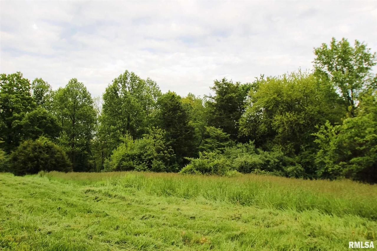 000 Bluebird Ln., Cobden, IL 62920