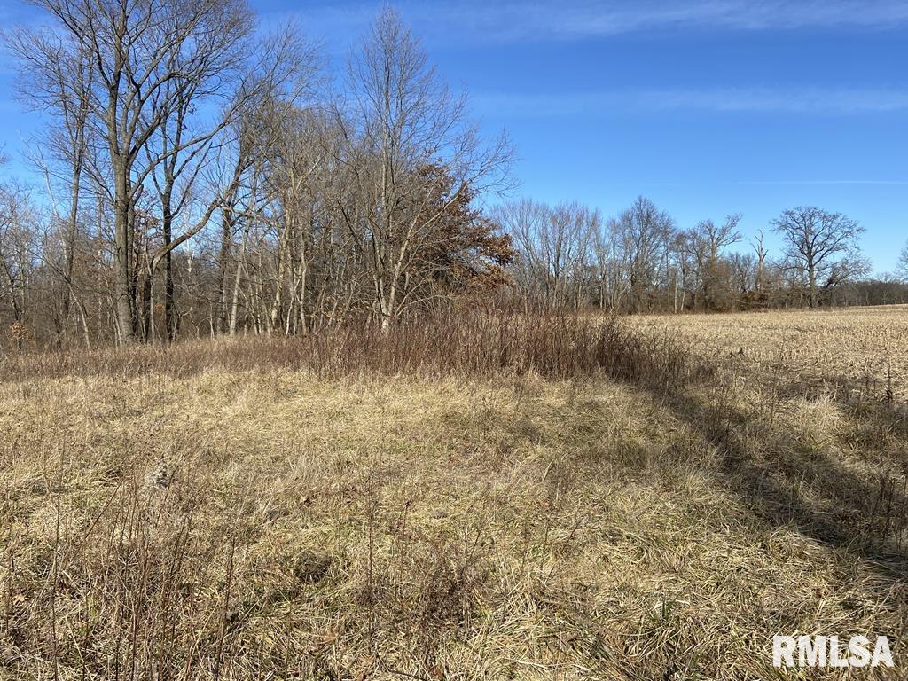 00 Farthing Rd., Patoka, IL 62875