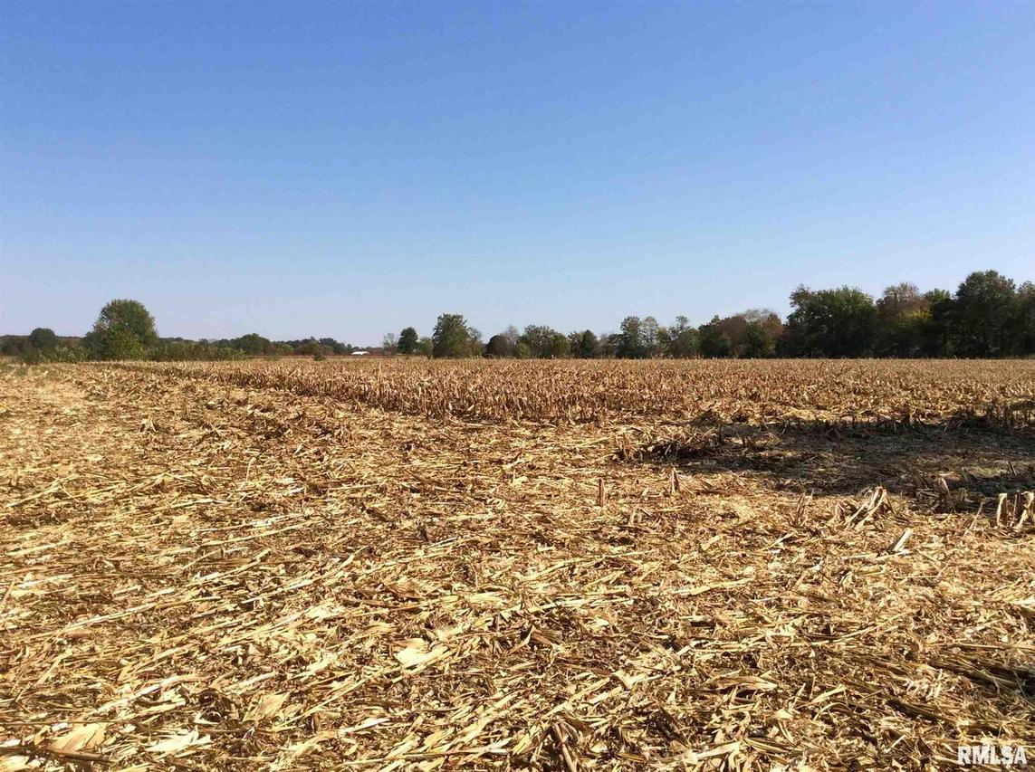 000 Spring Garden Ln., Mt Vernon, IL 62864