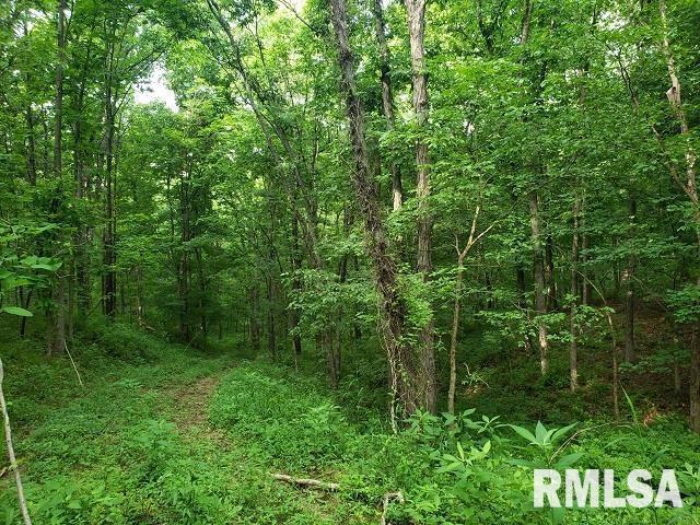 00000 E Divide Rd., Bluford, IL 62814