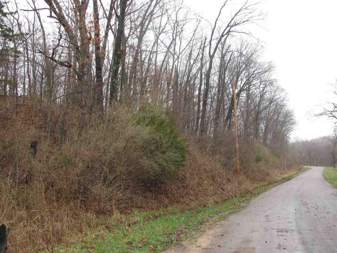 00 Wilson Rd., Ava, IL 62907